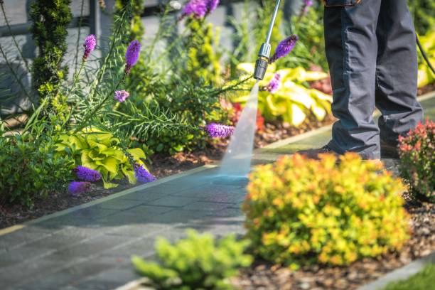 Best Dumpster Area Cleaning  in Riverside, CA